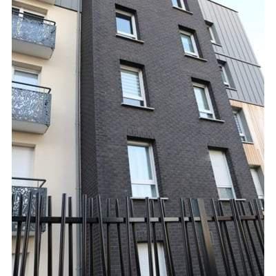 Basalte Black Brick 65mm x 215mm x 102.5mm (Pack of 520)